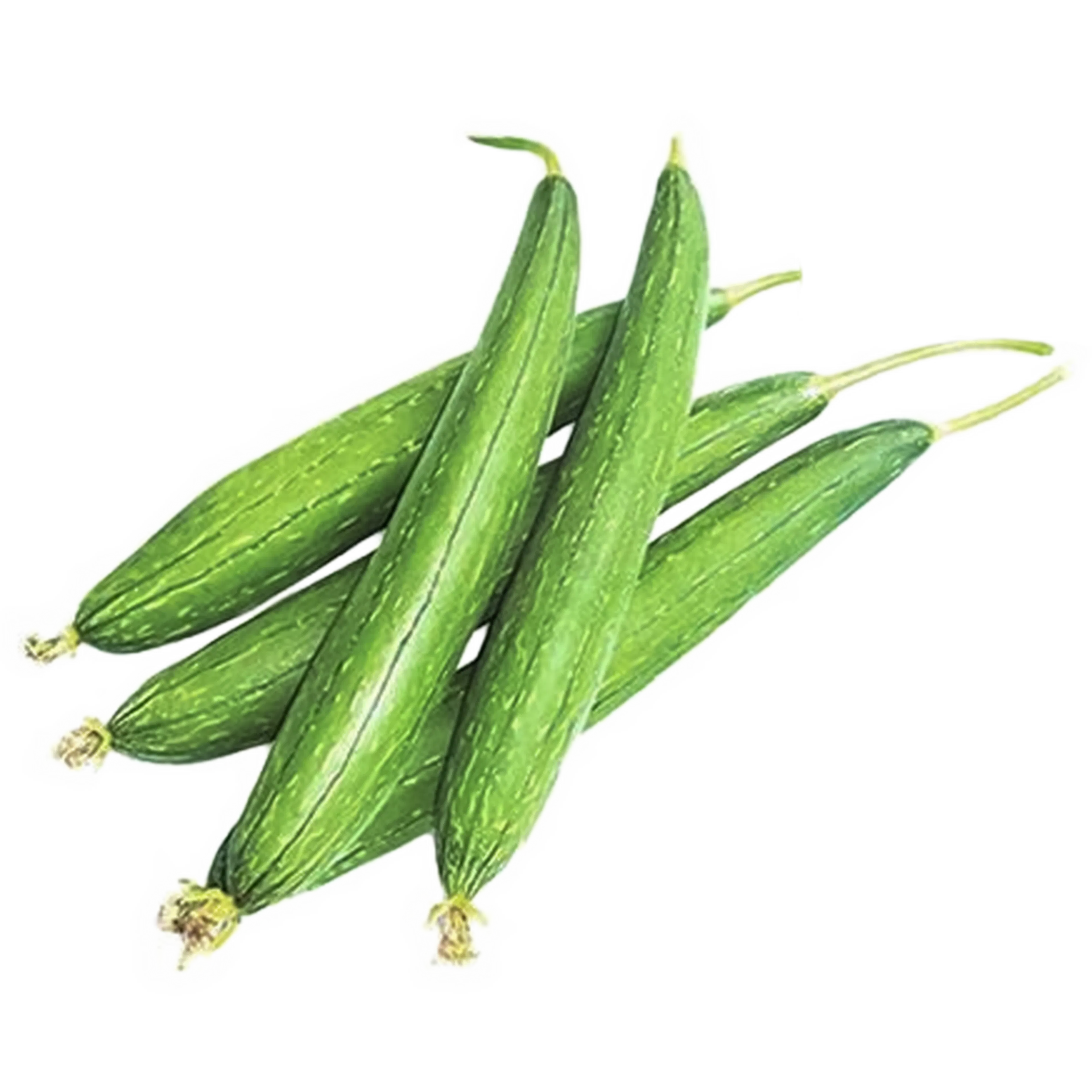 Fresho Spo...